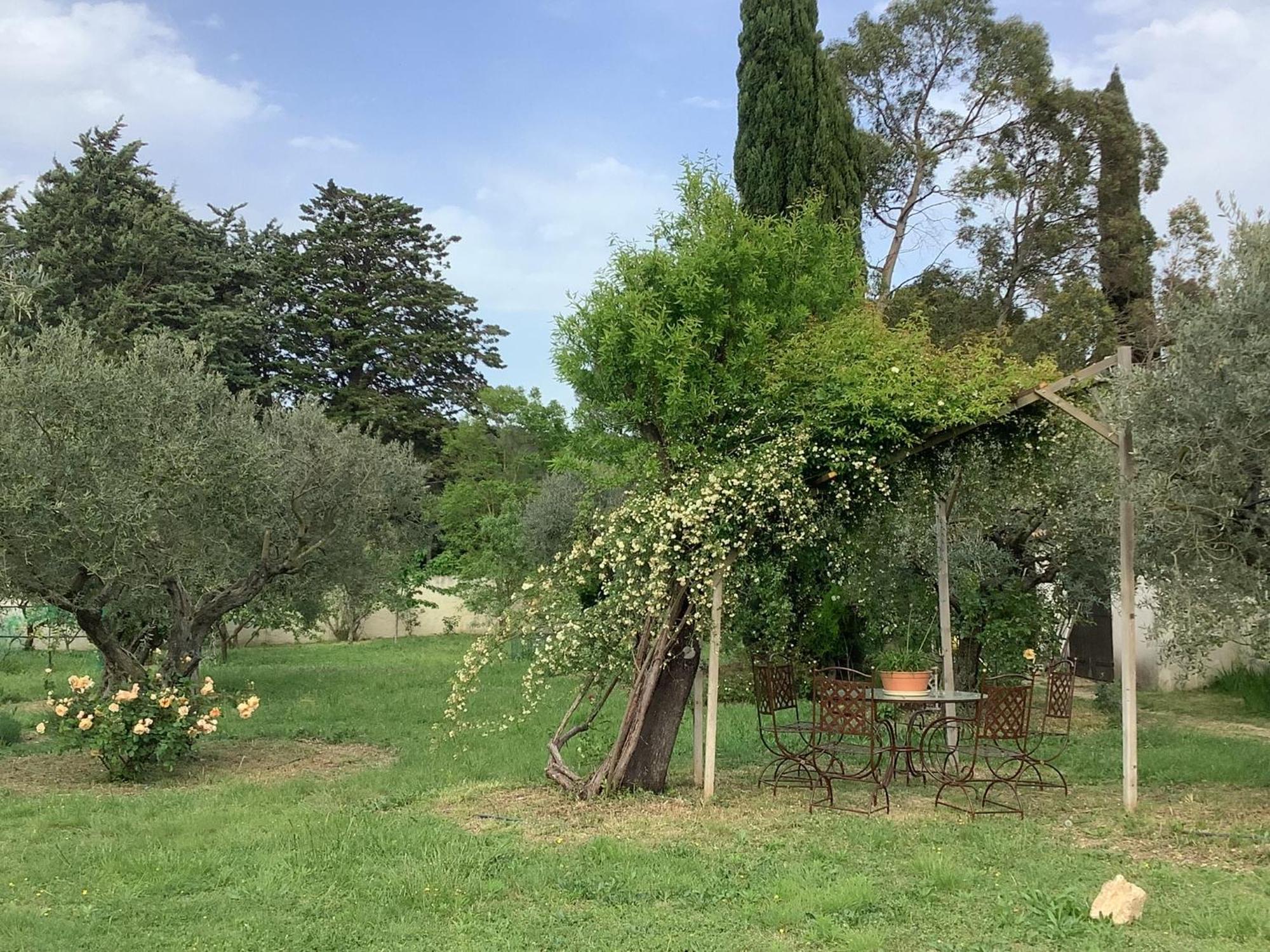 Le Mas Des Oliviers Martigues Exterior photo
